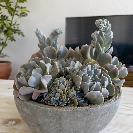 Appartamento Mesude Hanim 